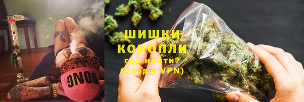 сатива Богданович