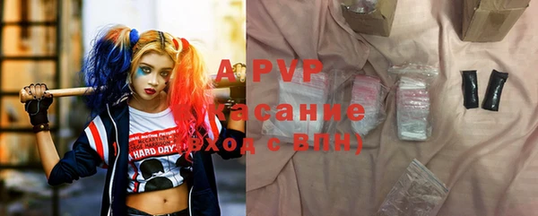 сатива Богданович