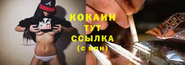 сатива Богданович
