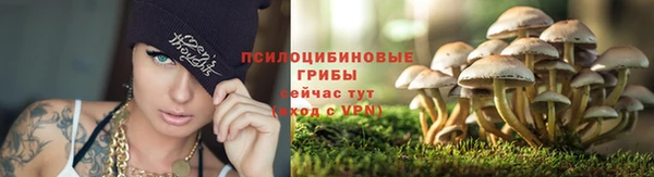 эйфоретик Богородицк