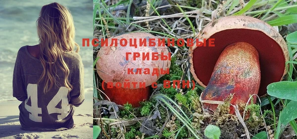 сатива Богданович